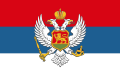 MNEflag2