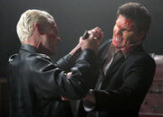 David boreanaz3
