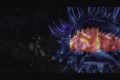 Metroid Prime Final Form