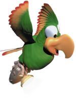 Squawks lantern