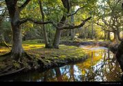 Aaa