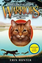 The forgotten warrior