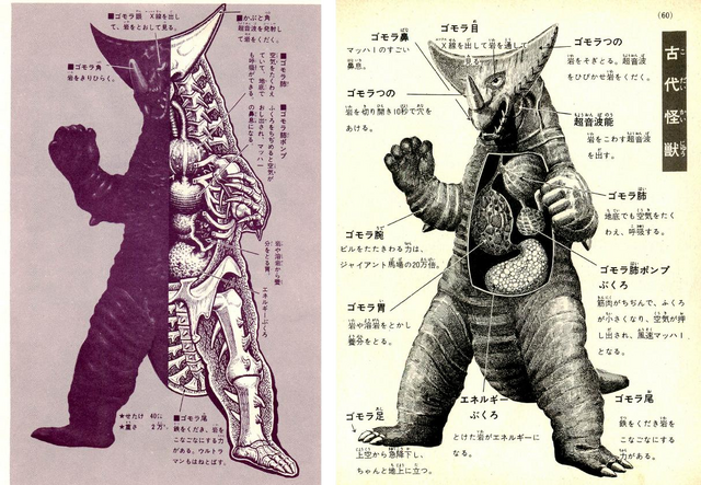 File:Gomora's anatomy.png