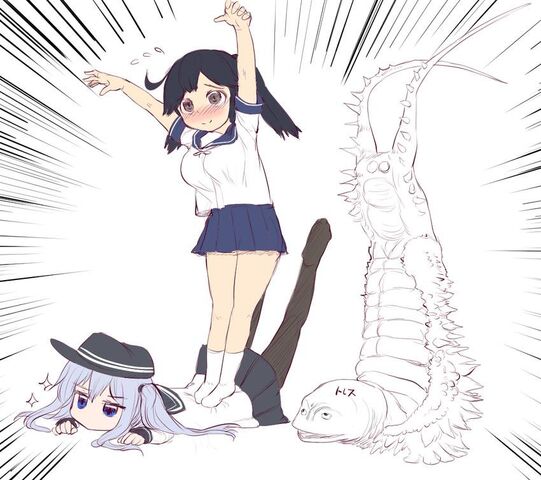 File:Twintail collection.jpg