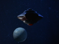 Thumbnail for version as of 03:13, April 12, 2015
