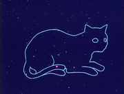 Felis Constellation