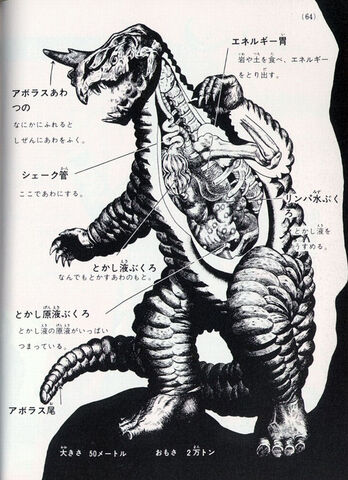 File:Aboras anatomy 2.jpg