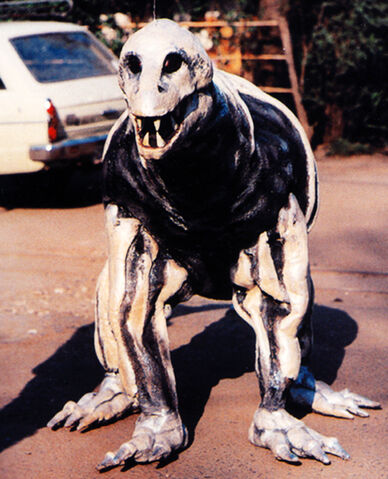 File:Stegon1.jpg