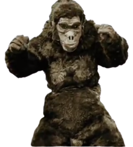 File:Goro I.png