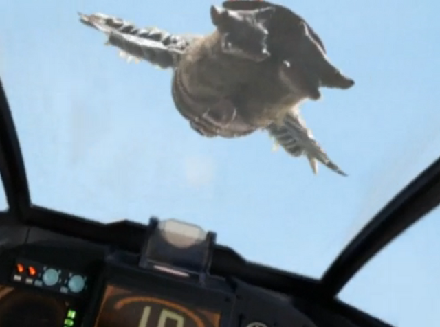 File:Birdon Flight.png
