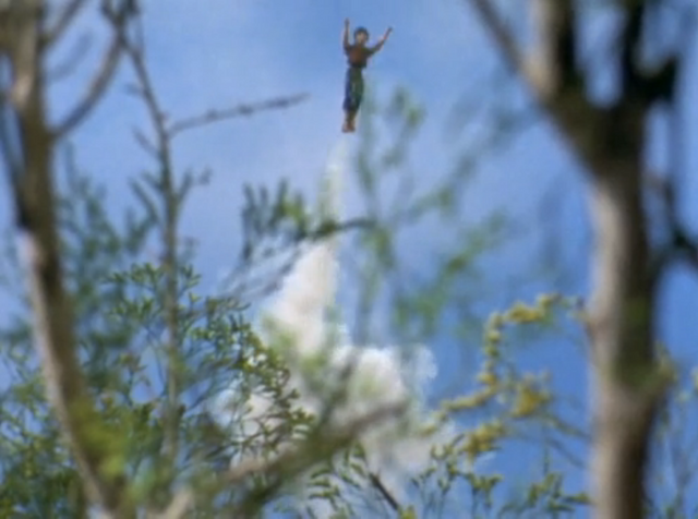 File:Bock Flight.png