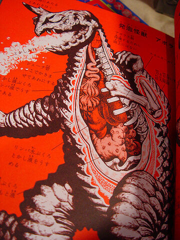 File:2070935098 4a755af53d z.jpg