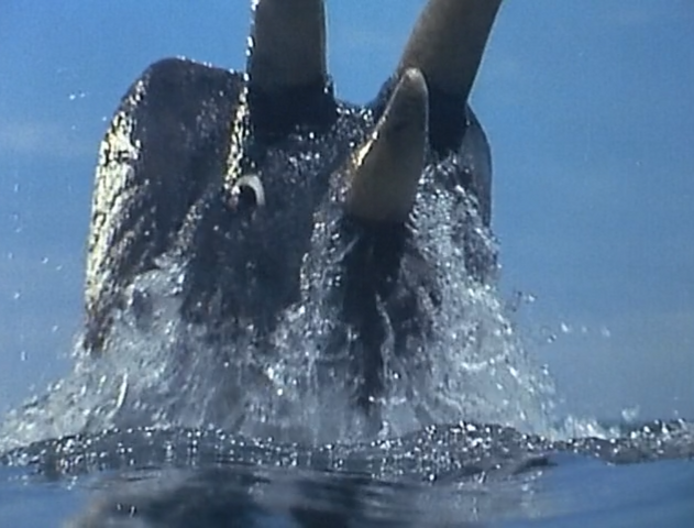 File:Dorigon Adept Swimmer.png