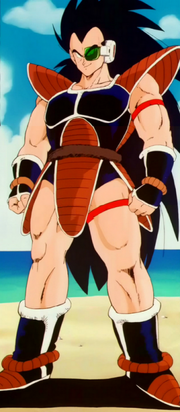 262px-RaditzDragonBallZnvk