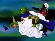 A Kami 7