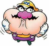 Wario Stupid