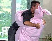 KalmahVbunny