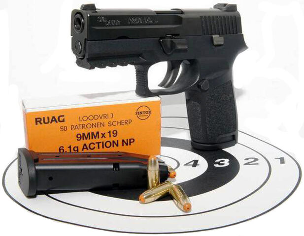 File:SIG-SAUER PPNL.jpg