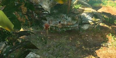 Amazon jungle.jpg
