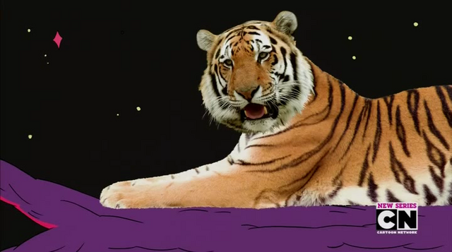 File:GRFT 3.png