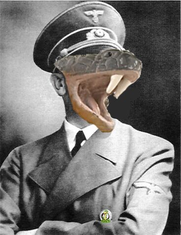 File:Snake.jpg
