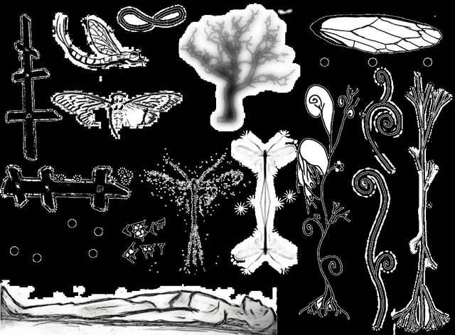 File:1000px-1399181864285.png