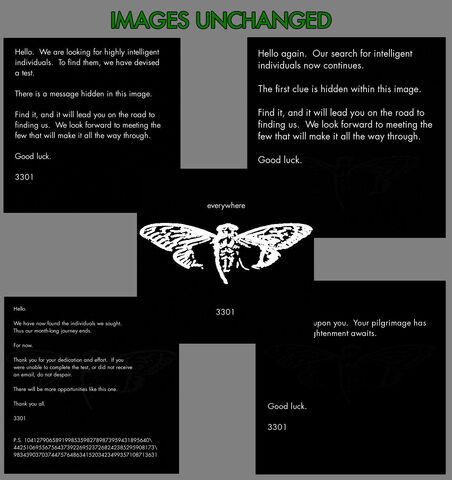 File:AllCicadaJpgsUnchanged.jpg