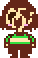 Chara-1