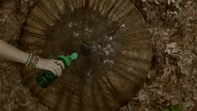 File:107 Mini Dome.png