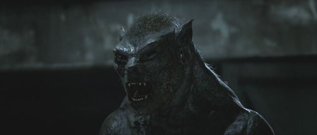 File:Raze as he fights with sorren.jpg