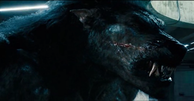 File:Quint vs. Selene.png