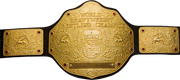 World Heavyweight CAW