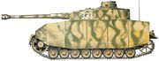 Pz161H1