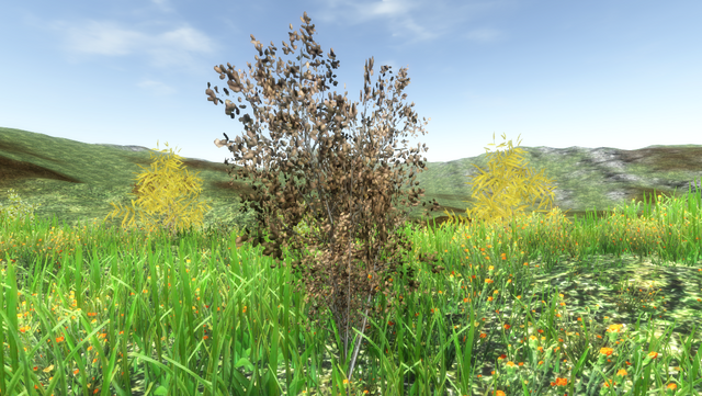File:PlantGrowth.png