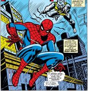 Peter Parker 627.jpg