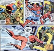 Peter Parker 3121.jpg