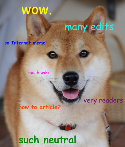 File:Doge 1.jpg