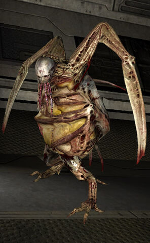 File:Pregnant DS2.jpg
