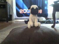 Picture002