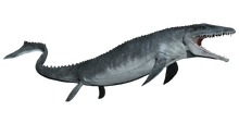 Mosasaurus-detail-header