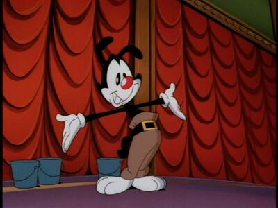 Yakko