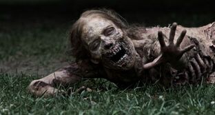 Amc-walking-dead-zombie-small