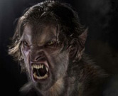 File:Skinwalkerstan 1.jpg