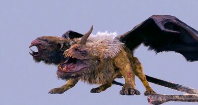 Chimera