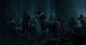 Centaurs2