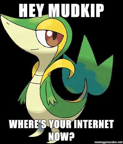 File:Smugleaf-Hey-mudkip-wheres-your-internet-now.jpg