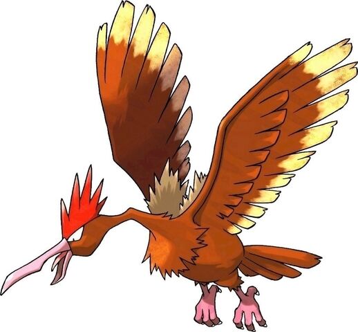File:Fearow.jpg