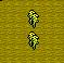 成熟golden rod