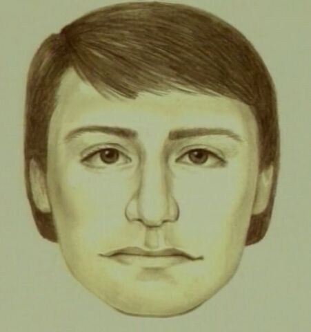 File:Carjacker assault1 suspect.jpg