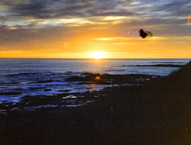 Ufo disappearance1 roy manifold's photo